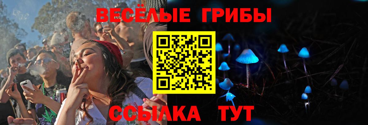 Псилоцибиновые грибы Psilocybine cubensis  Вход с VPN  Галлюциногенные грибы Psilocybine cubensis  продажа наркотиков  Реутов 